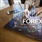 EgyptTigerForeX